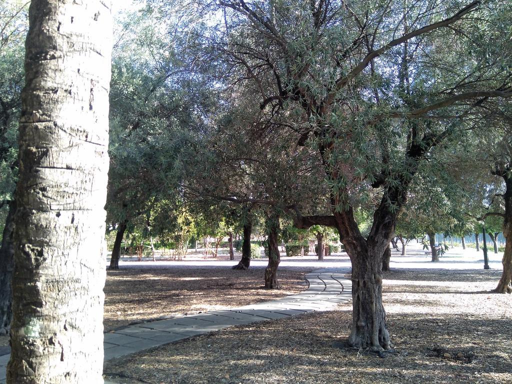 Apartamento Buhaira Sevilla Dış mekan fotoğraf