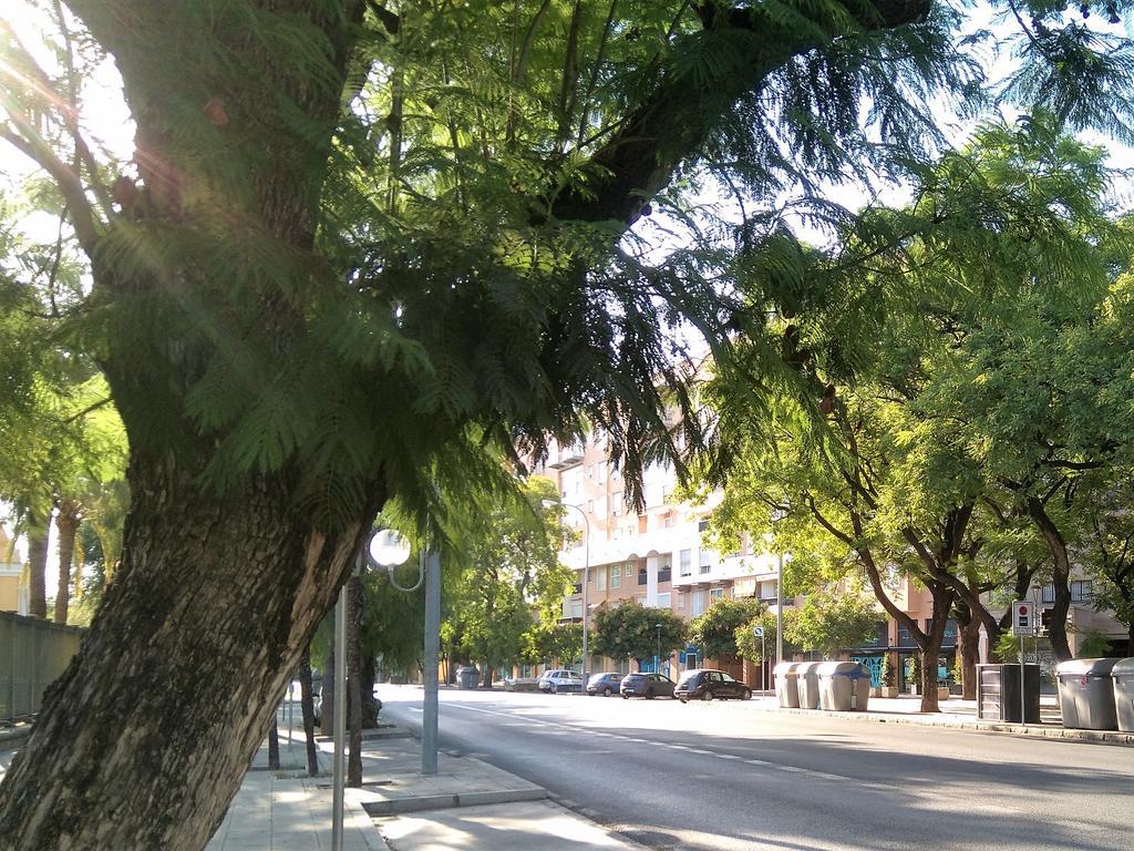 Apartamento Buhaira Sevilla Dış mekan fotoğraf